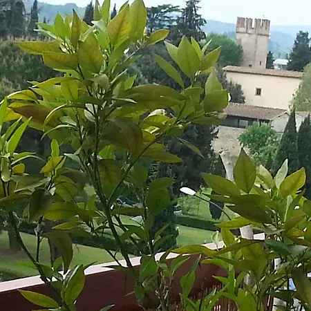 بيت ضيافة Casa Dei Bei Tramonti فلورنس